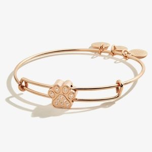 Alex and Ani bracelet